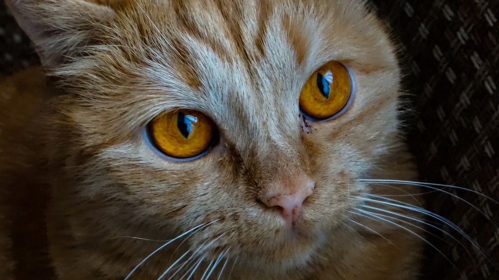 Photograph by Роман Трошин