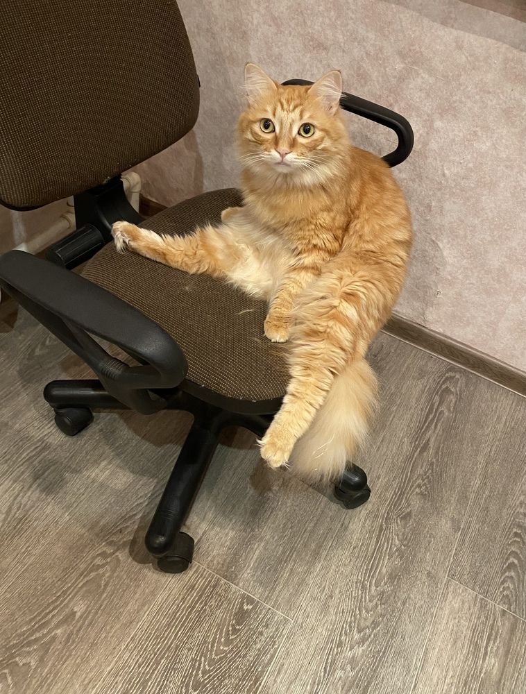 Photograph by Светлана Подорван