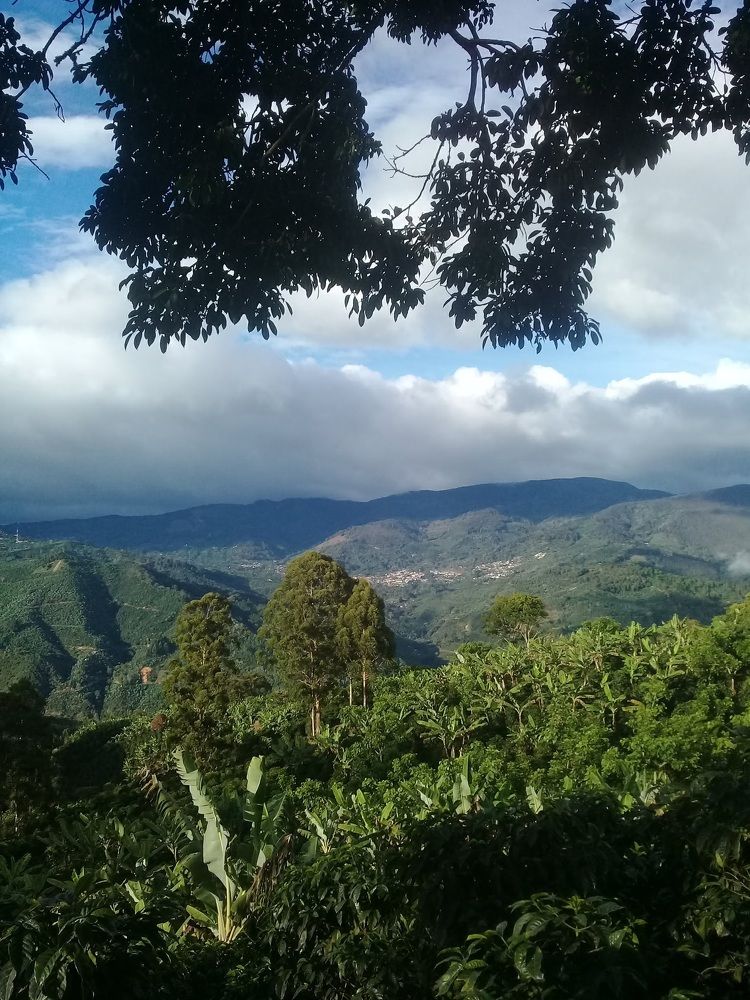 Photograph by Walter Quiros Chevez
