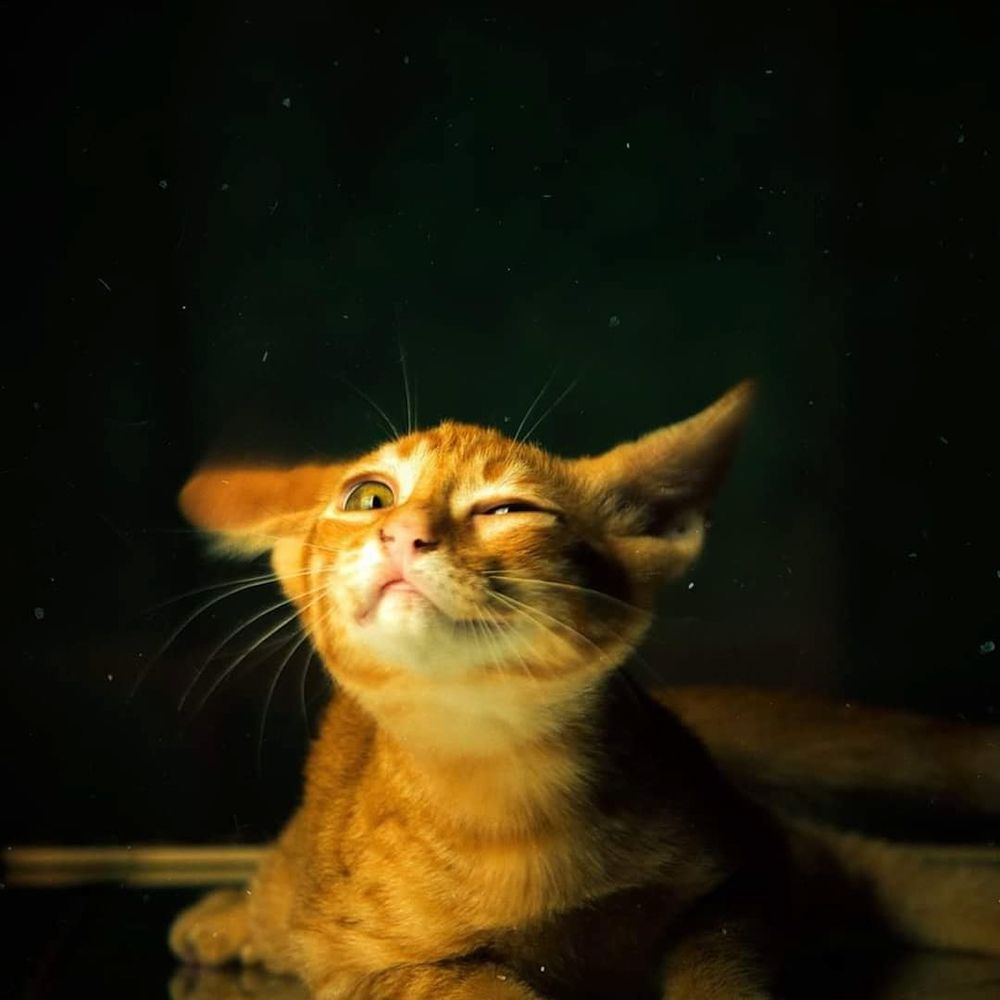 Photograph by Fabrine Reis