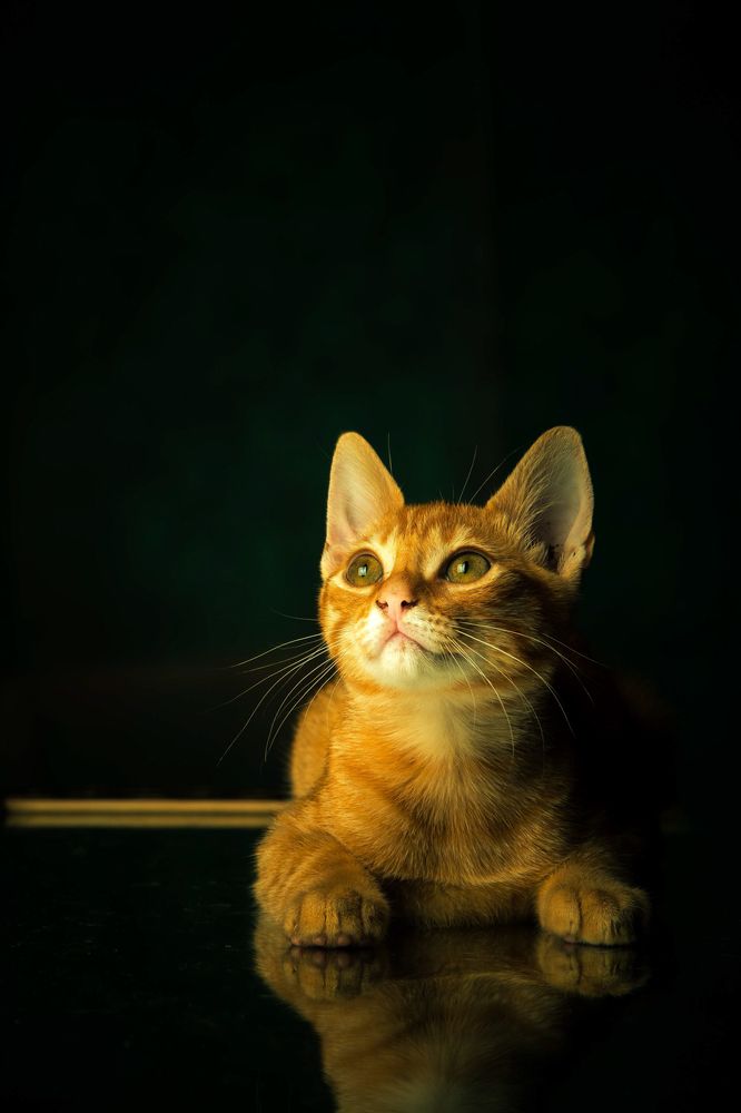 Photograph by Fabrine Reis