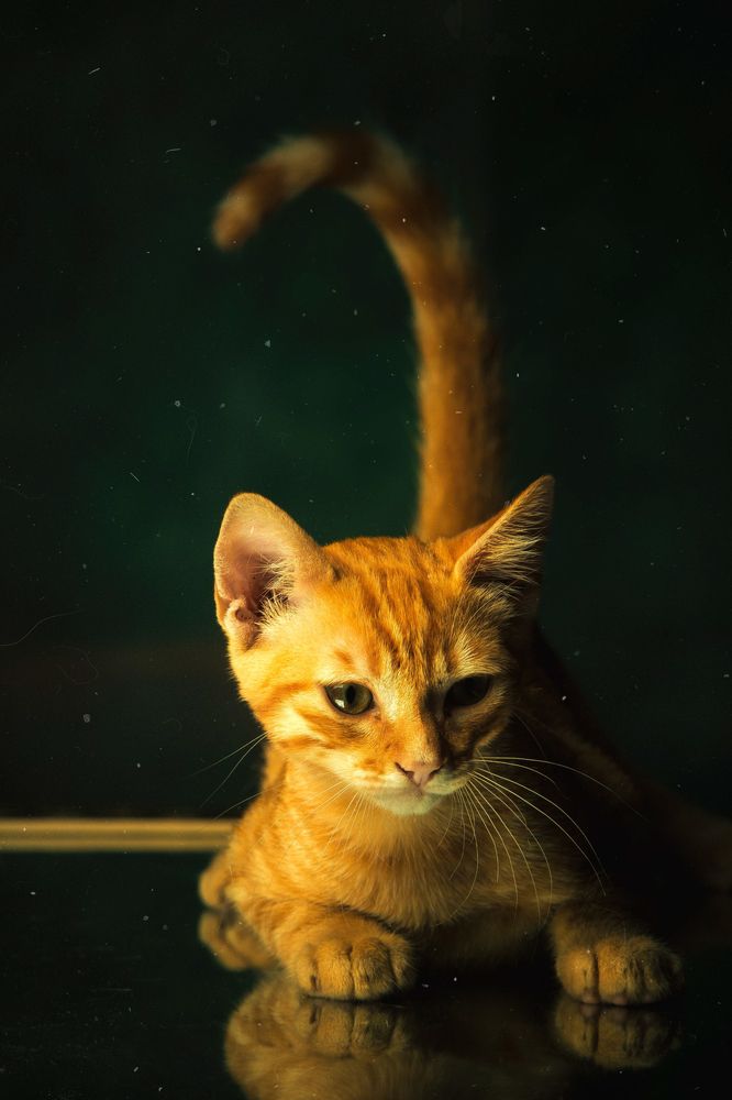 Photograph by Fabrine Reis