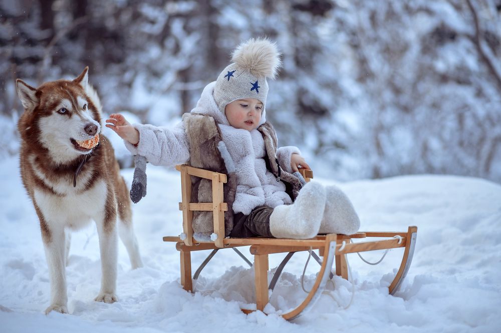 Кабы не было зимы в городах и селах