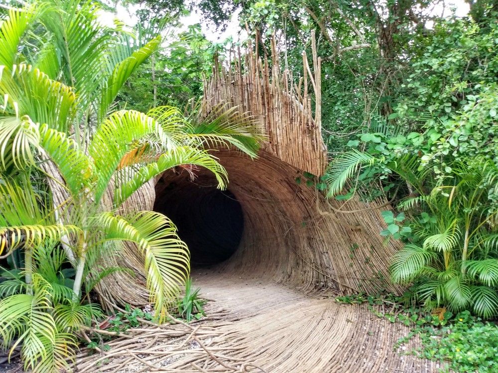 Photograph by José Luis Mendoza Machado