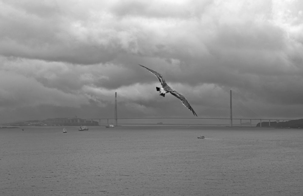 Photograph by Alex Mikh