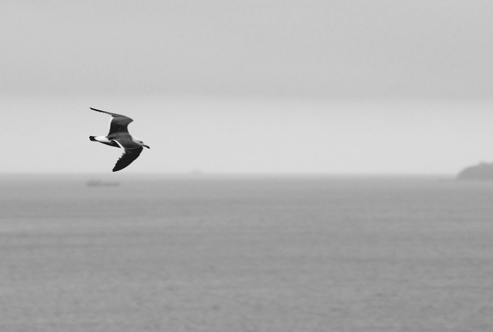 Photograph by Alex Mikh