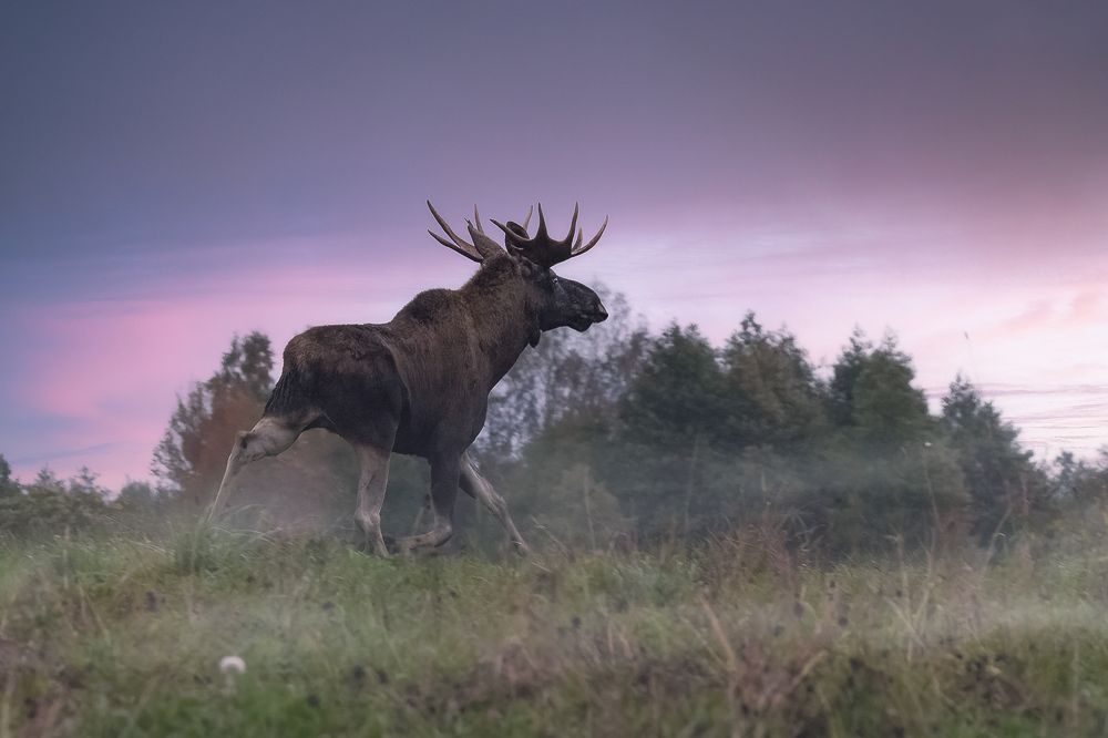 Photograph by Валерия Трейтяк