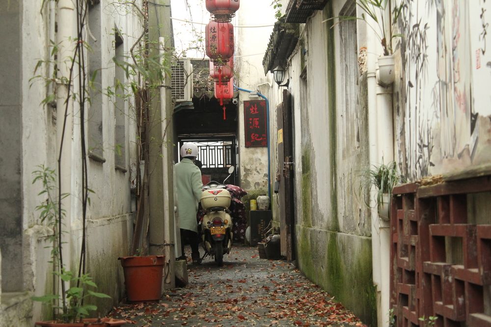 Photograph by Sean Qin