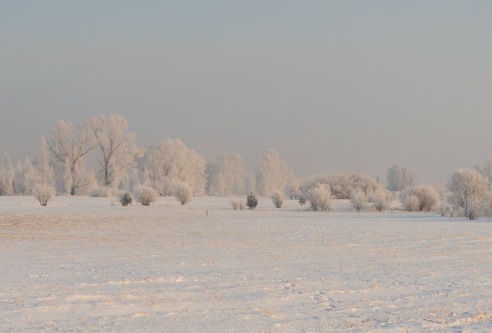 Фотография автора Григорий Червяков