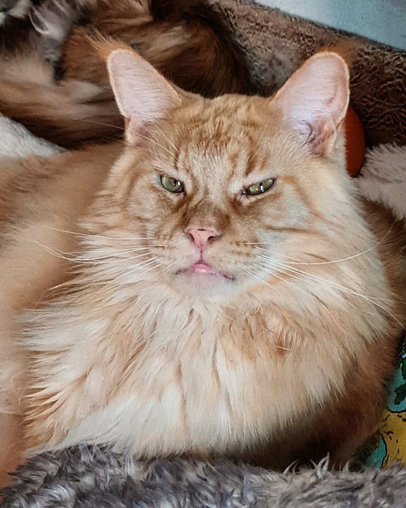 Photograph by Елена Вершинина