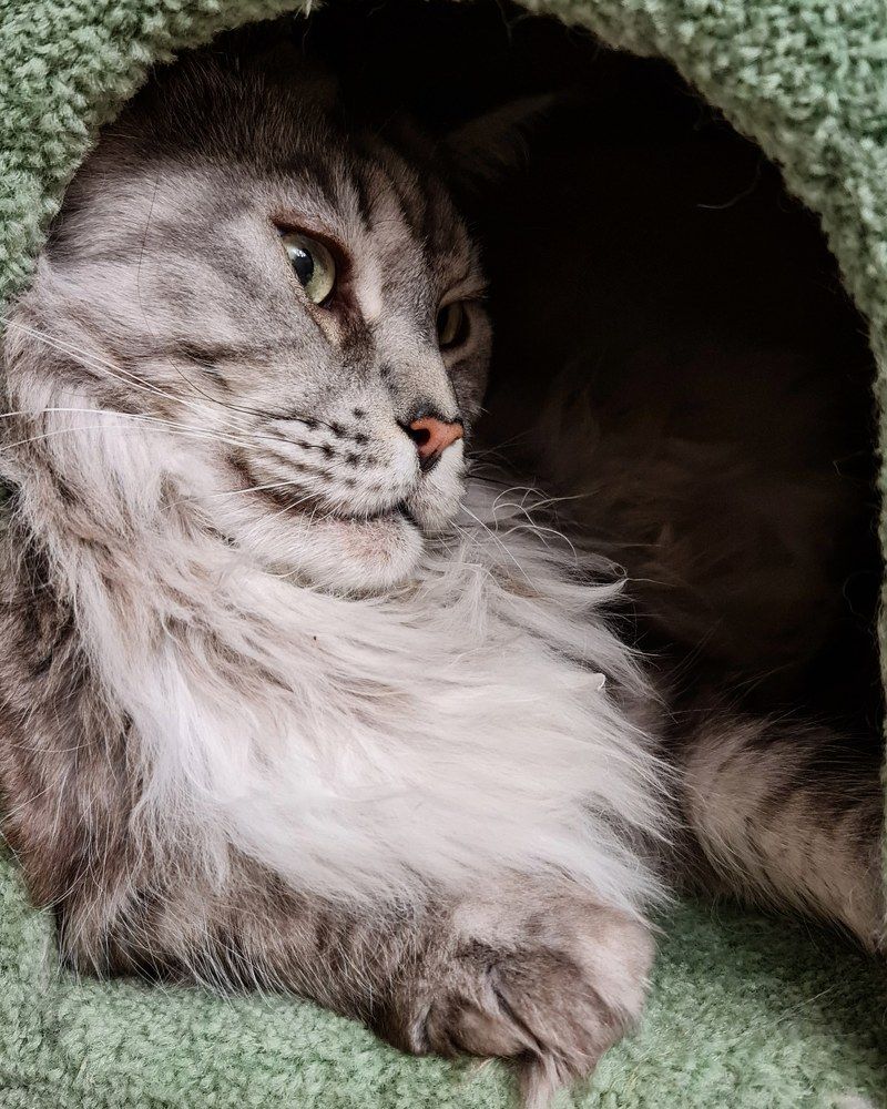 Photograph by Елена Вершинина