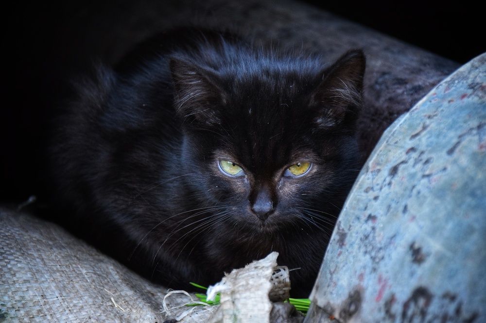 Photograph by Митюшкова Алёна