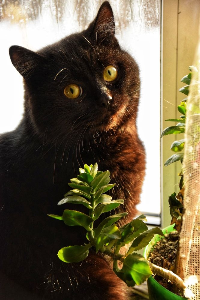 Photograph by Митюшкова Алёна