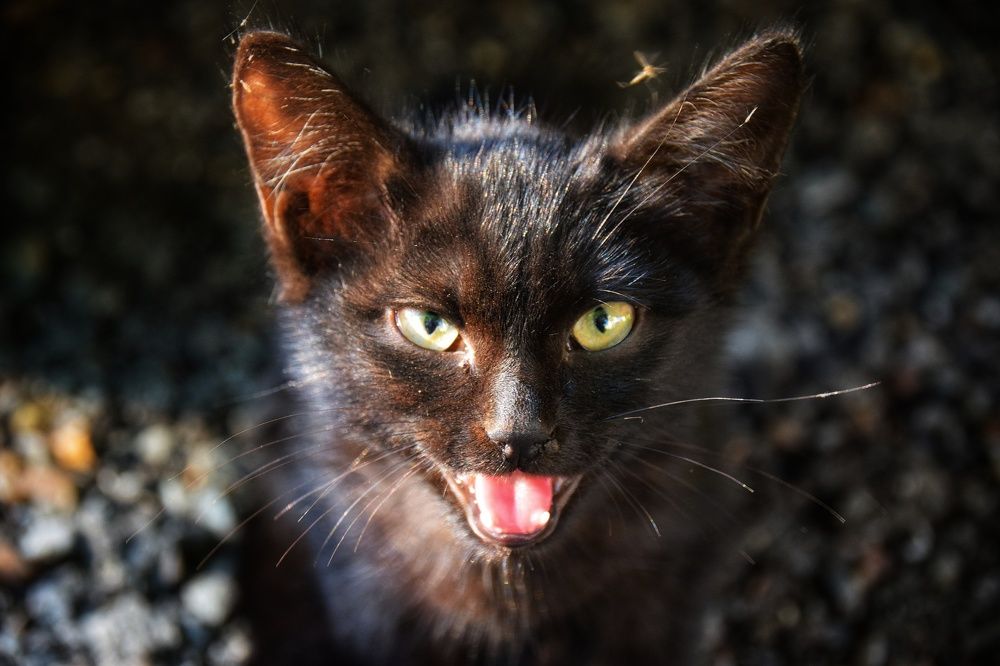 Photograph by Митюшкова Алёна