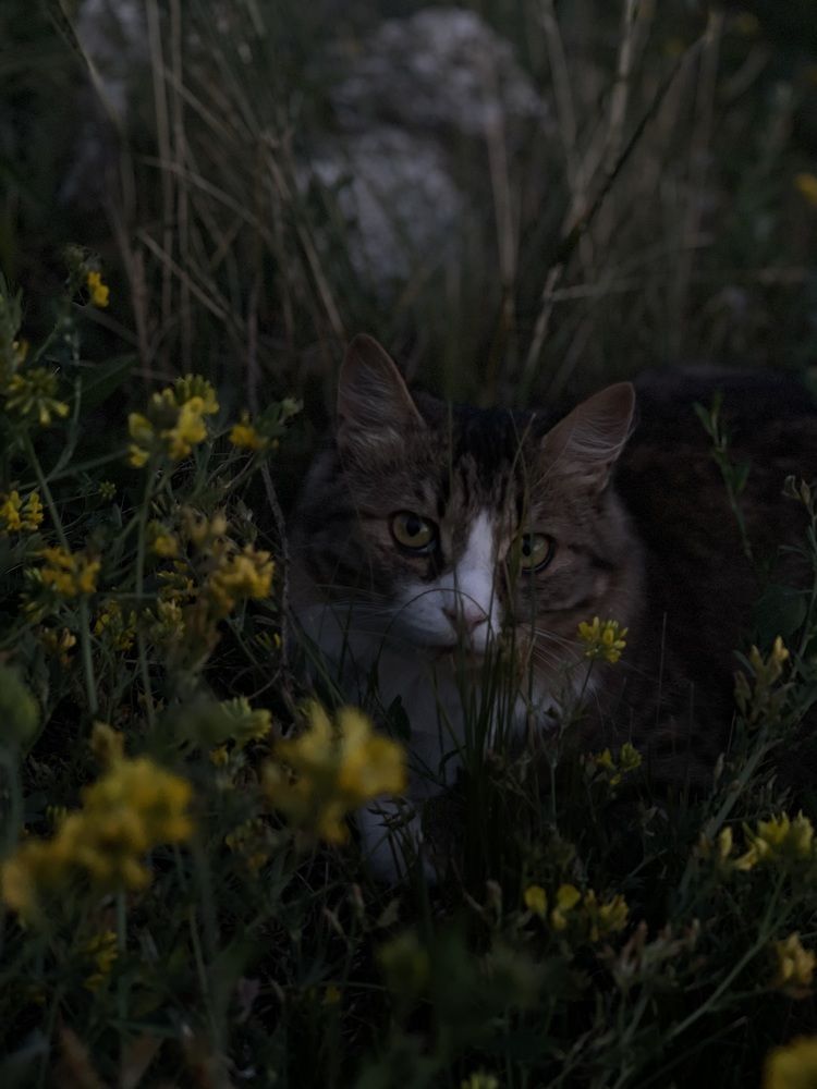 Photograph by Асель Бекбосынова