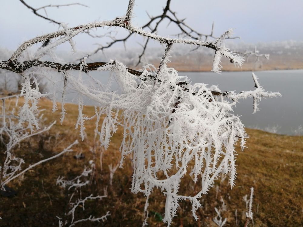 Photograph by Анна Володина