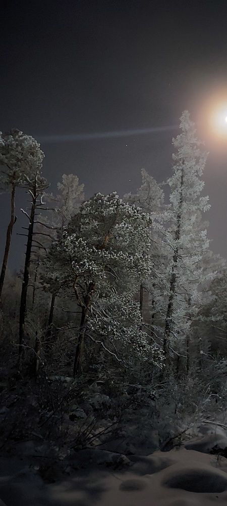 Photograph by Александр Зайцев