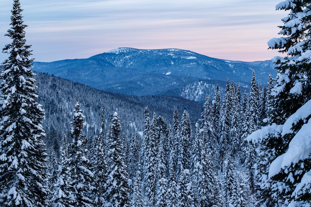 Photograph by Евгений Голубев