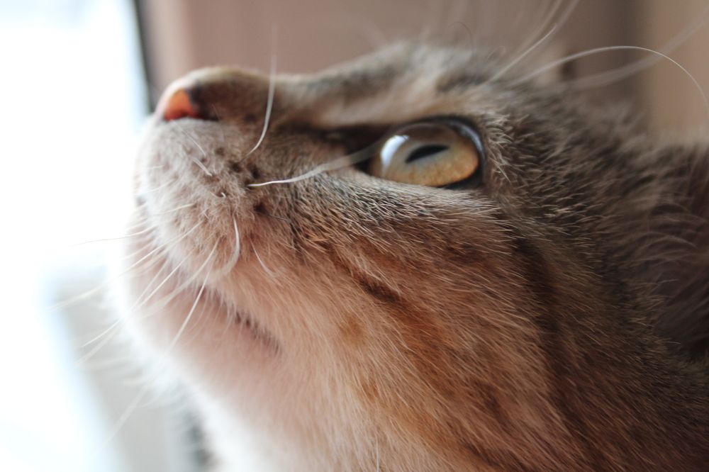 Photograph by Ольга Карпачева