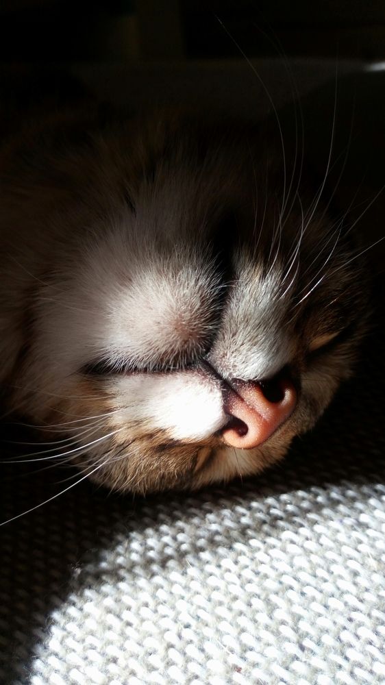 Photograph by Жанна Цветкова