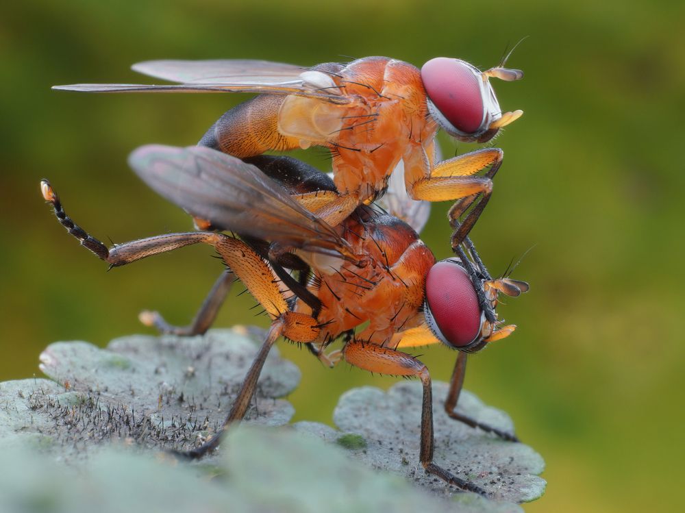 Photograph by Chen-You Li