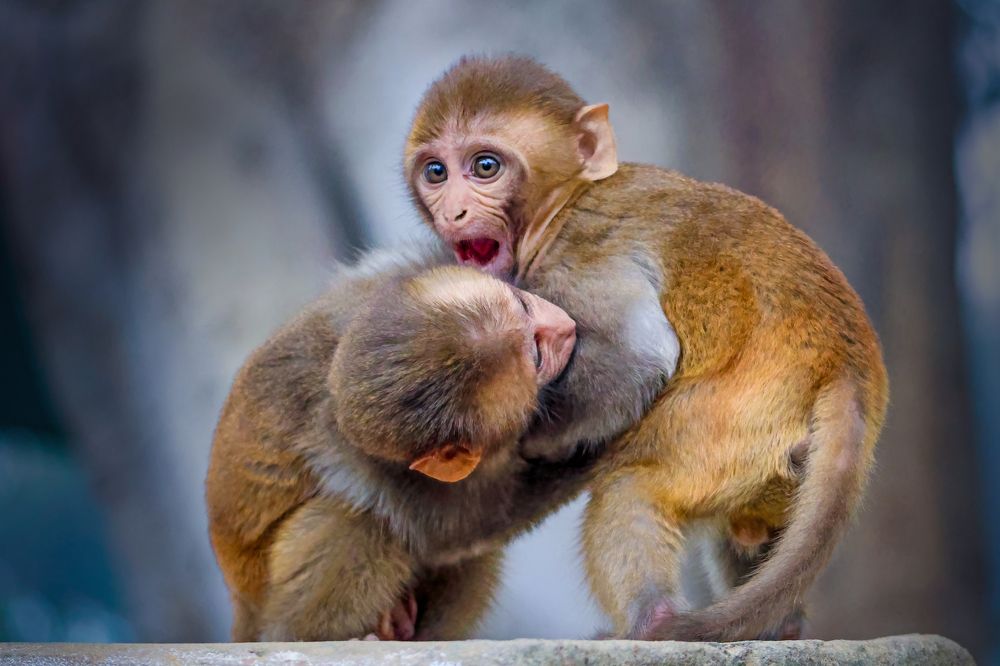 Photograph by Dhruv Shilpi