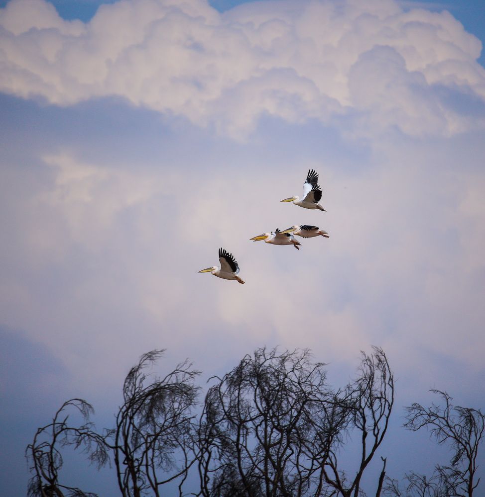 Photograph by Sanjay Shankar