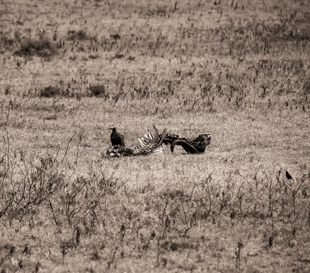 Photograph by Sanjay Shankar