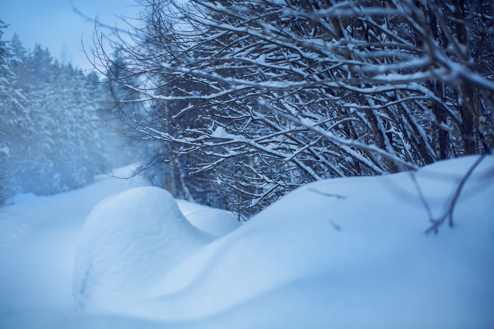 Photograph by Мила Смирнова