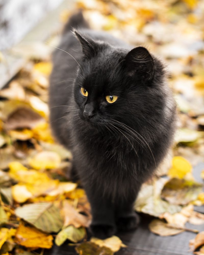 Photograph by Антон Синица