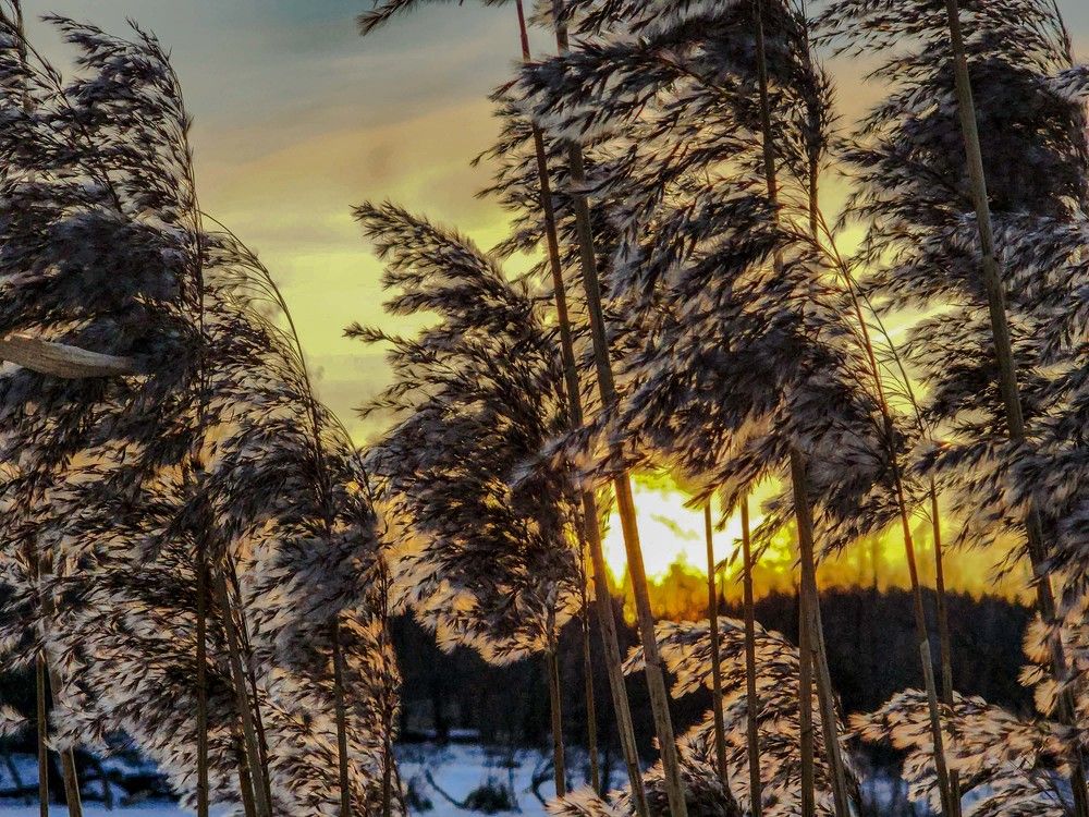 Photograph by mikhail goryachev