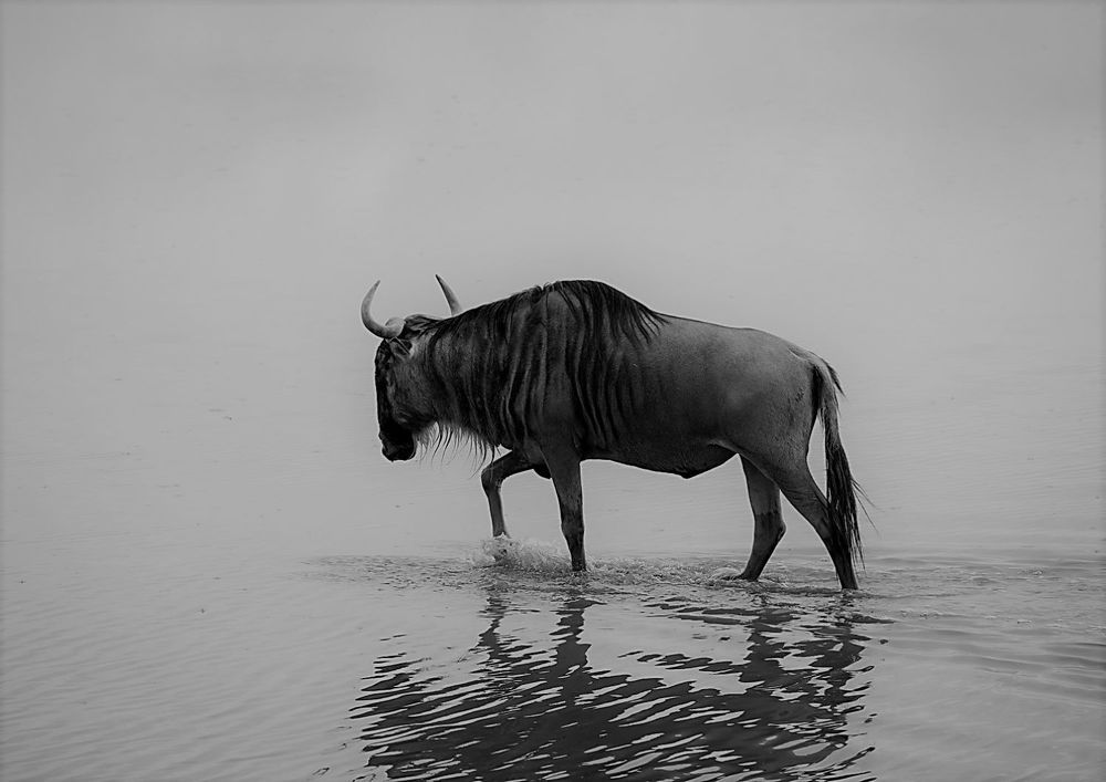 Photograph by Sanjay Shankar