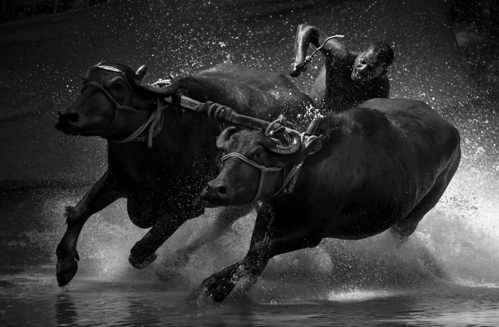 Photograph by AK BIJURAJ