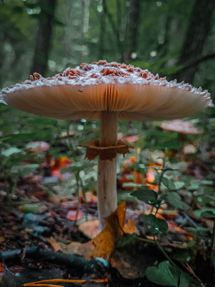 Фотография автора Алина