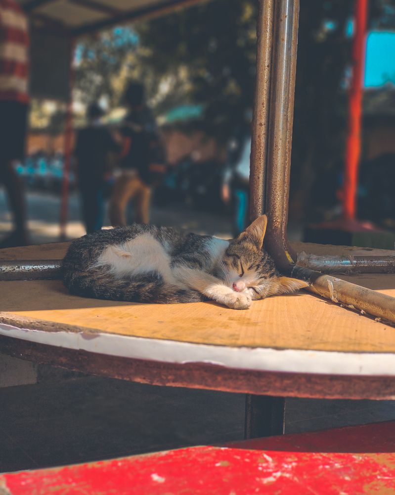 Photograph by Tushar Shetty