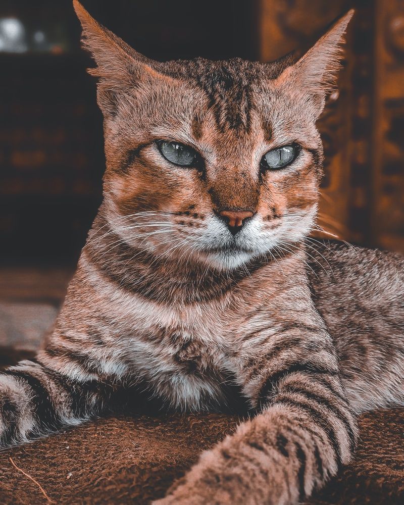 Photograph by Tushar Shetty