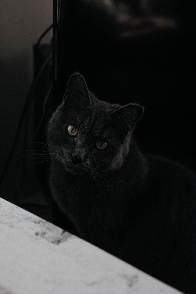 Photograph by Татьяна Шишляева