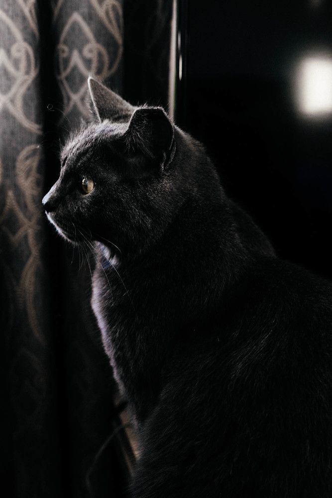 Photograph by Татьяна Шишляева