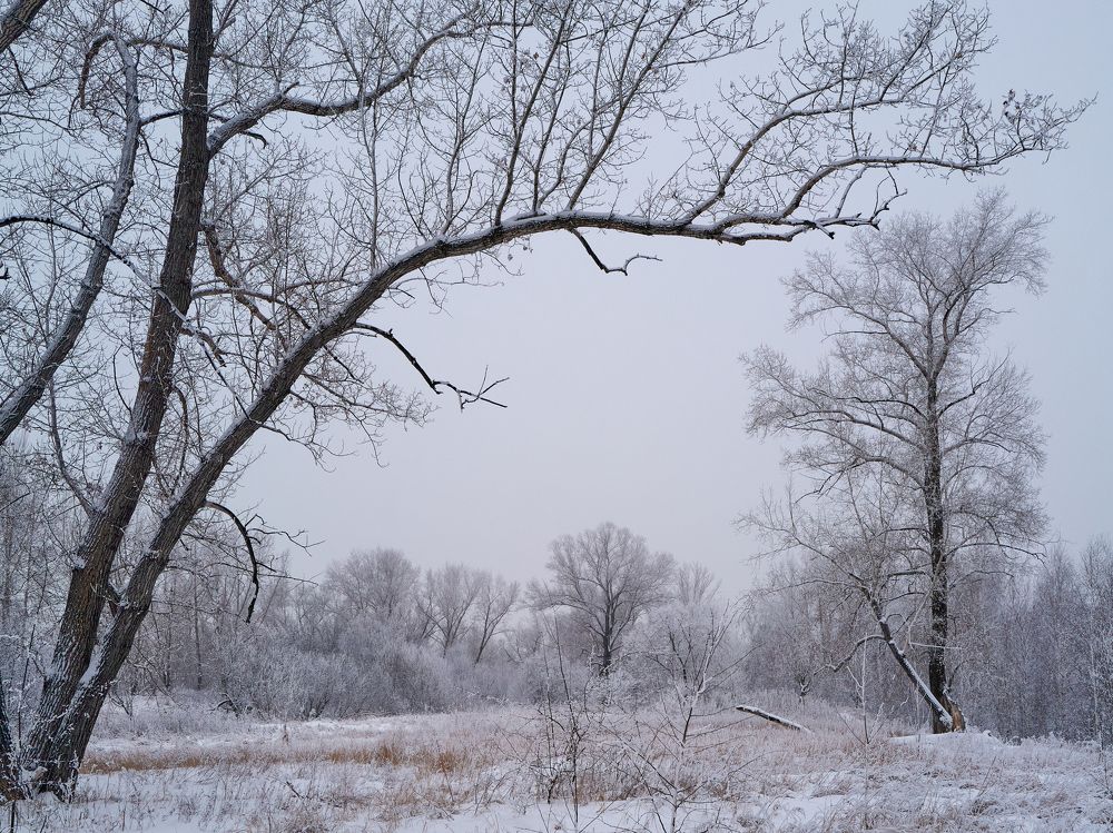Photograph by Сергей Смелян
