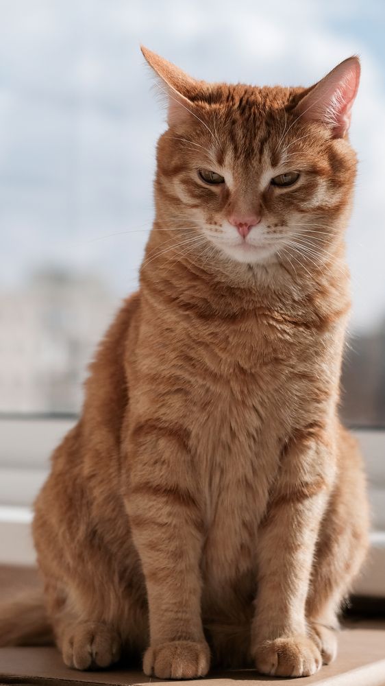 Photograph by Руслан