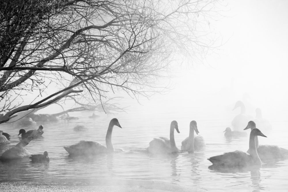 Photograph by Наталья Трифуз