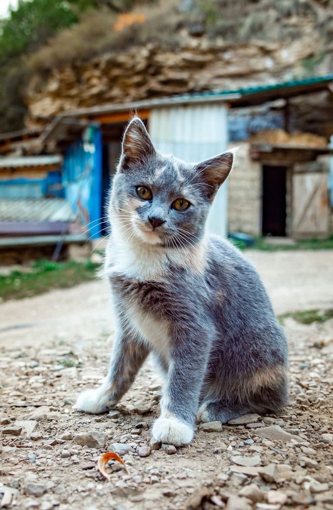 Photograph by Юрий Киреичев