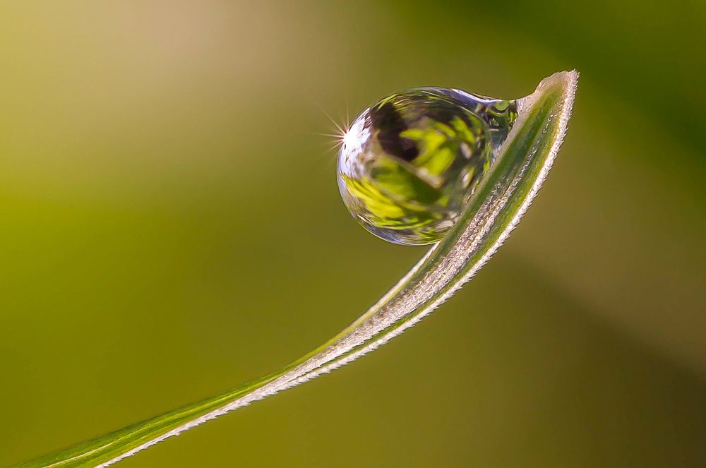 Фотография автора Andrey Pristyazhnyuk