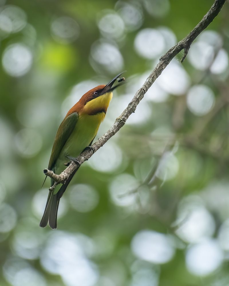 Photograph by JISHNUDEV PULINKUZHY