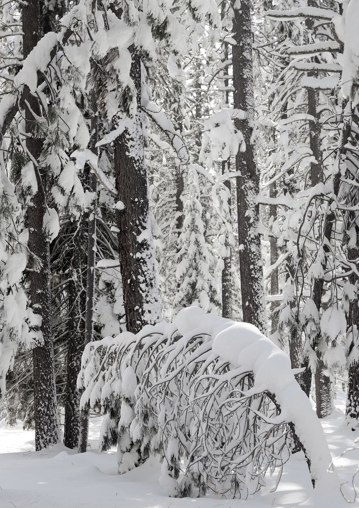 Фотография автора Andrey Pereverzev