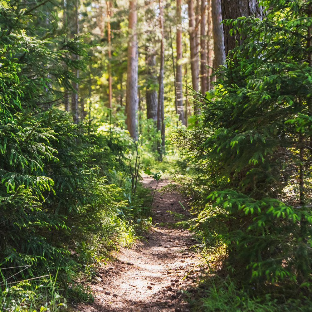 Photograph by Андрей