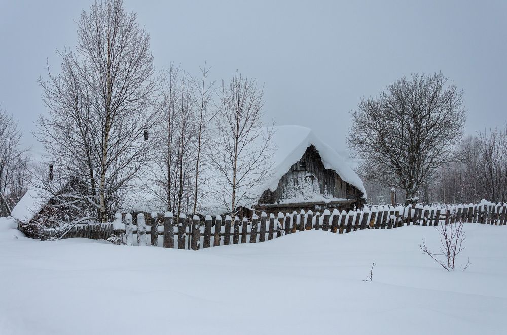 Photograph by Ольга Мукина