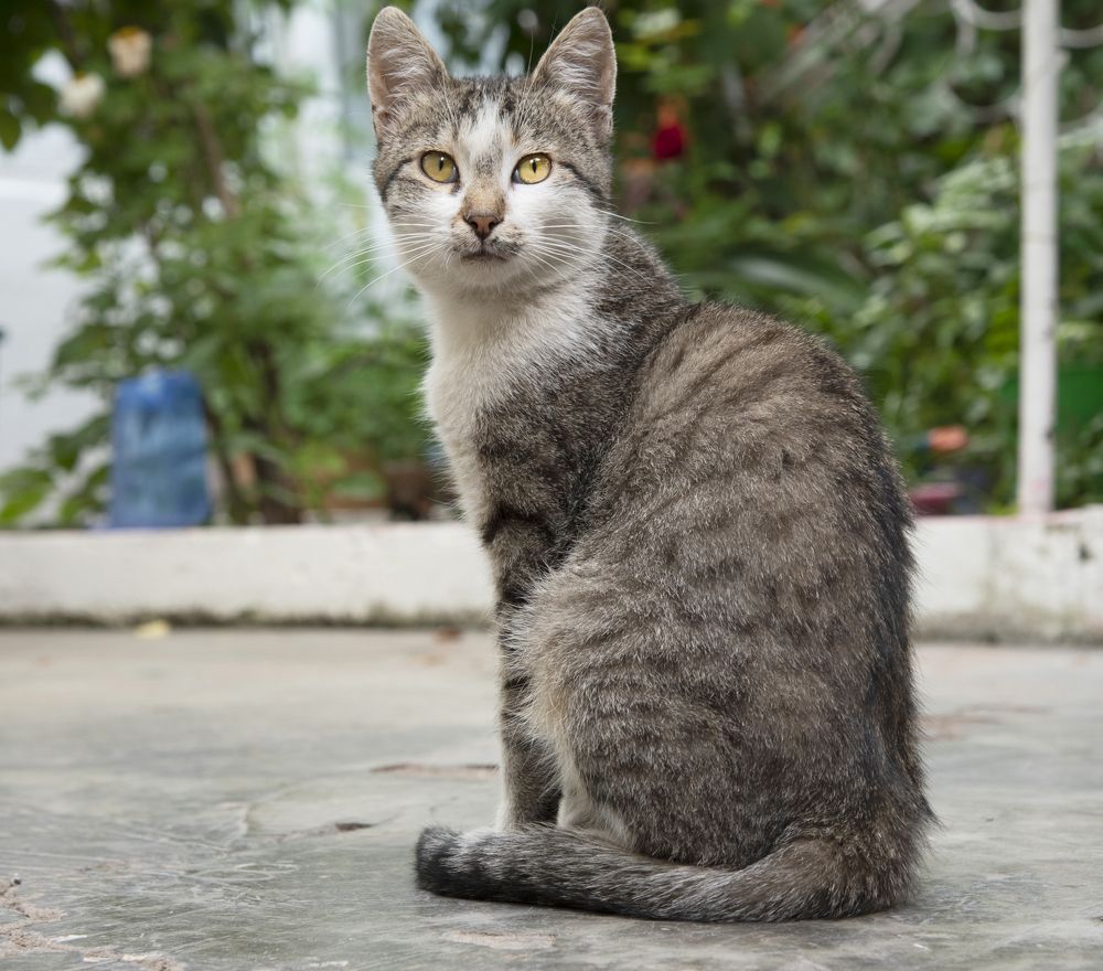 Фотография автора Davit Mohrabyan