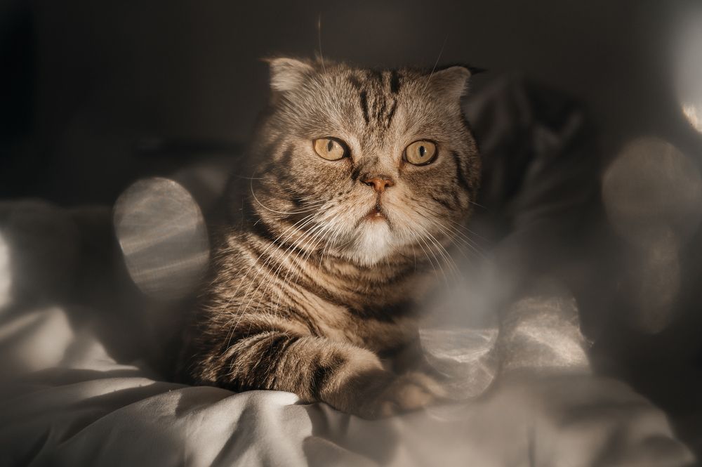 Photograph by Марьям Цимбельман