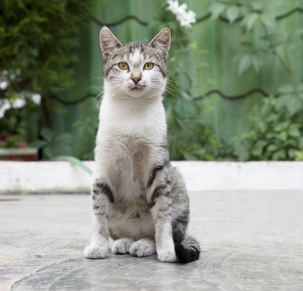 Фотография автора Davit Mohrabyan